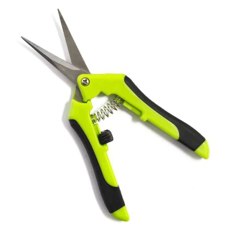 Grow Bitz Platinum Curved Scissors