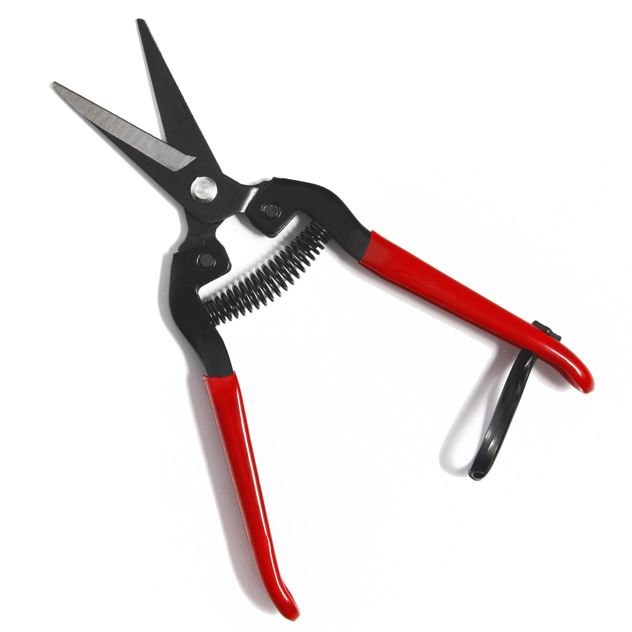 Trim Buddy Pruning Shears Green Box Wholesale