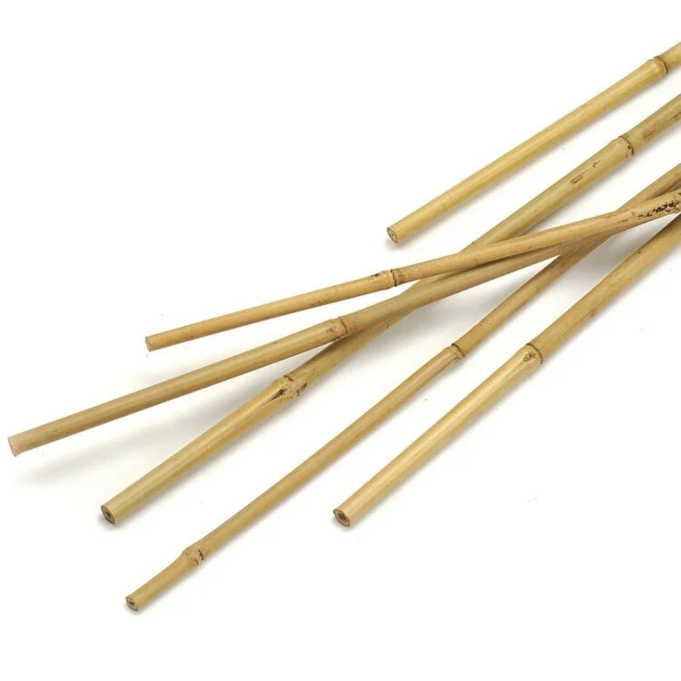 Grow Bitz Wooden Bamboo Canes