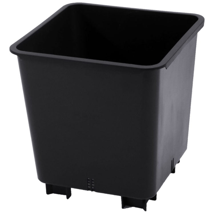 Square Black Plastic Plant Pots Green Box Wholesale