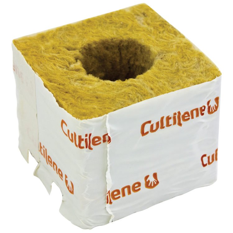 Cultilene 100mm (4") Cube - Large Hole (38/35) Box