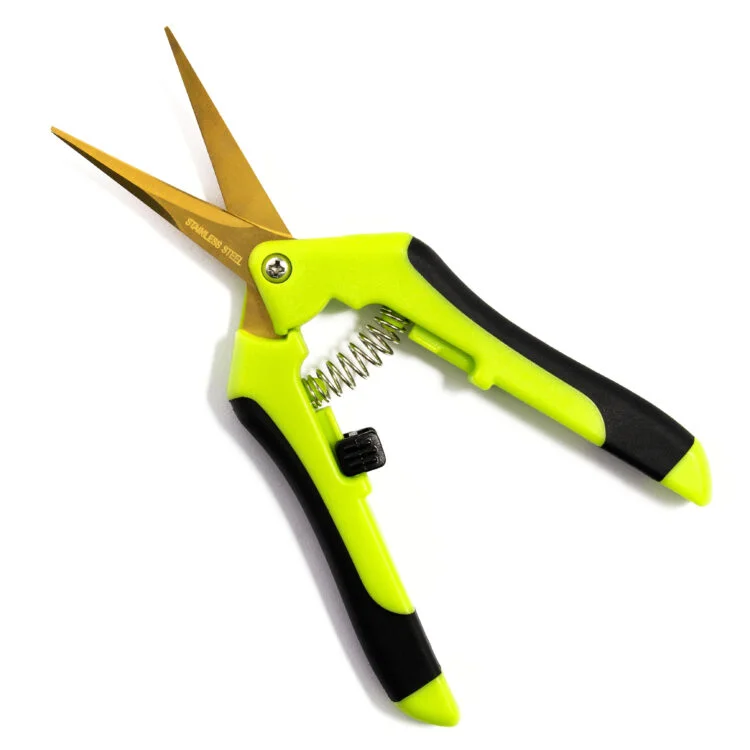 Grow Bitz Titanium Curved Scissors 