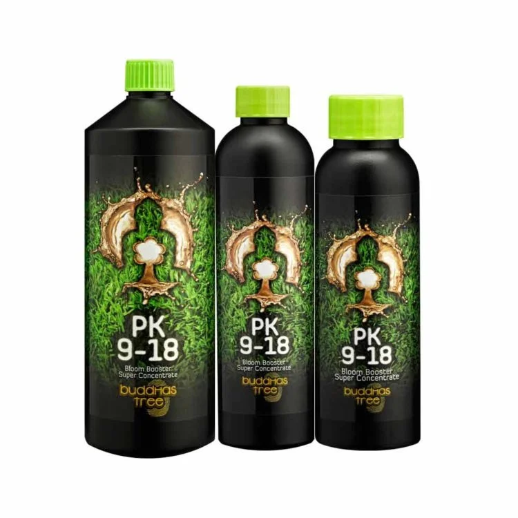 Buddhas Tree PK 9-18