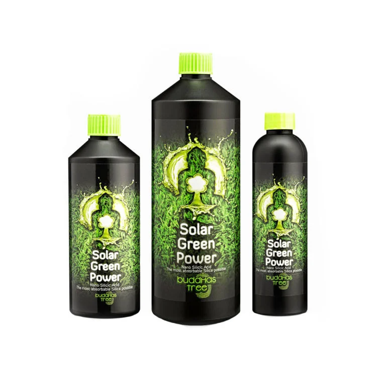 Buddhas Tree Solar Green Power