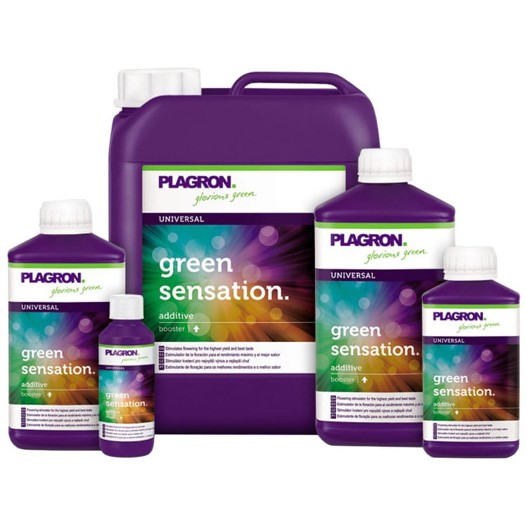 Plagron Green Sensation