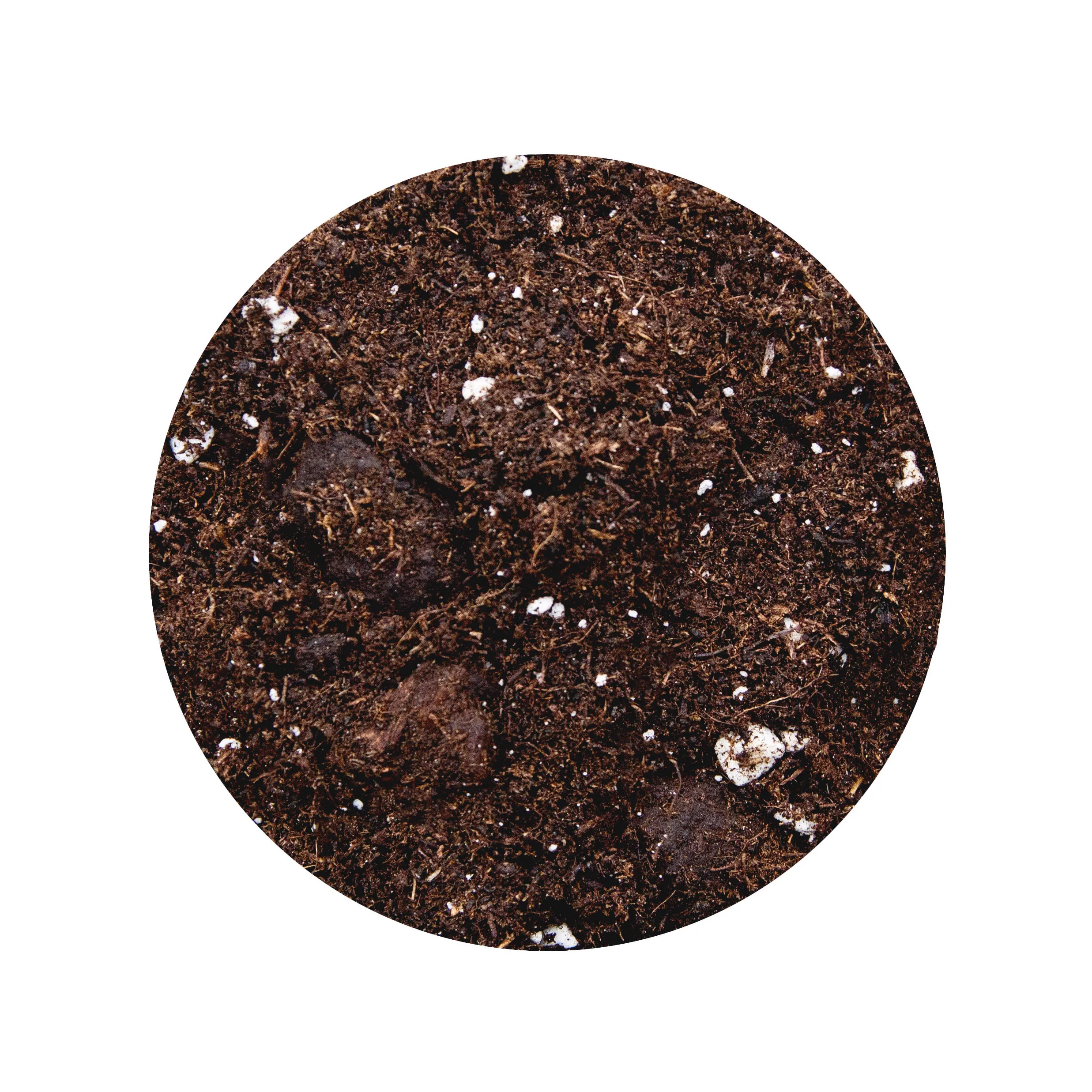 Canna Terra Professional – 50L (Single Bag) - Image 2