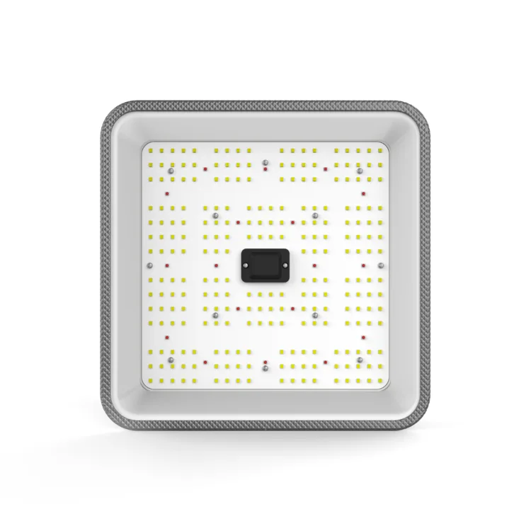 Bright 80W LED Grow Light