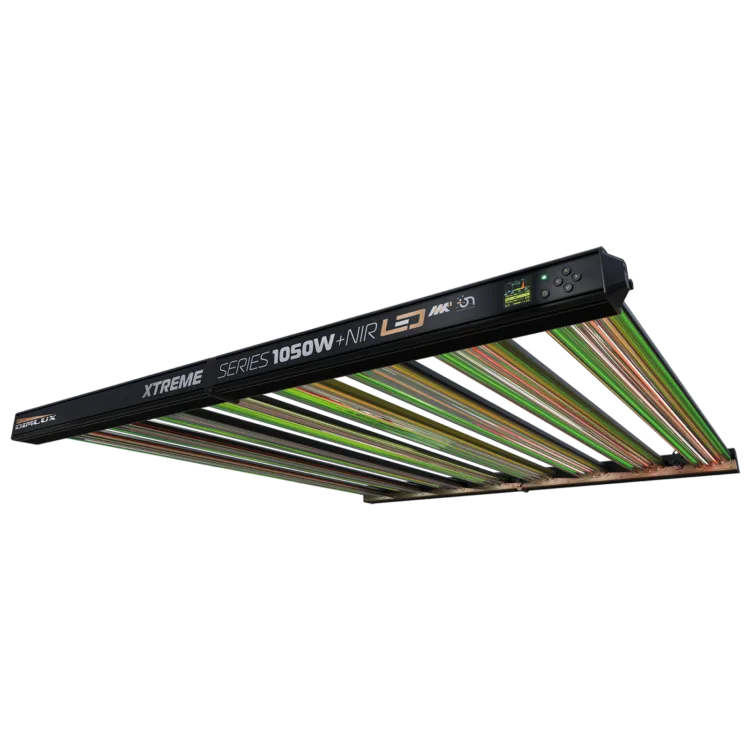 Dimlux Xtreme Series 1050W LED NIR ION MKII